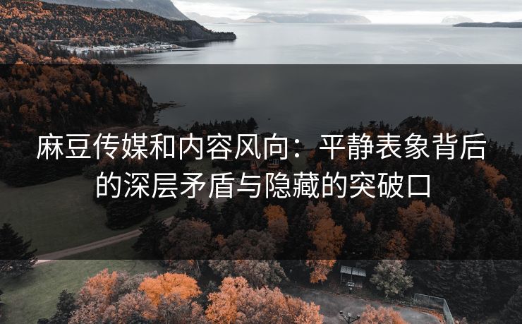 麻豆传媒和内容风向：平静表象背后的深层矛盾与隐藏的突破口