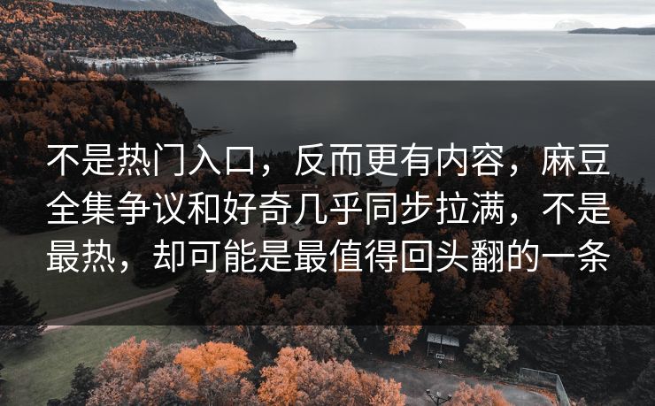 不是热门入口，反而更有内容，麻豆全集争议和好奇几乎同步拉满，不是最热，却可能是最值得回头翻的一条