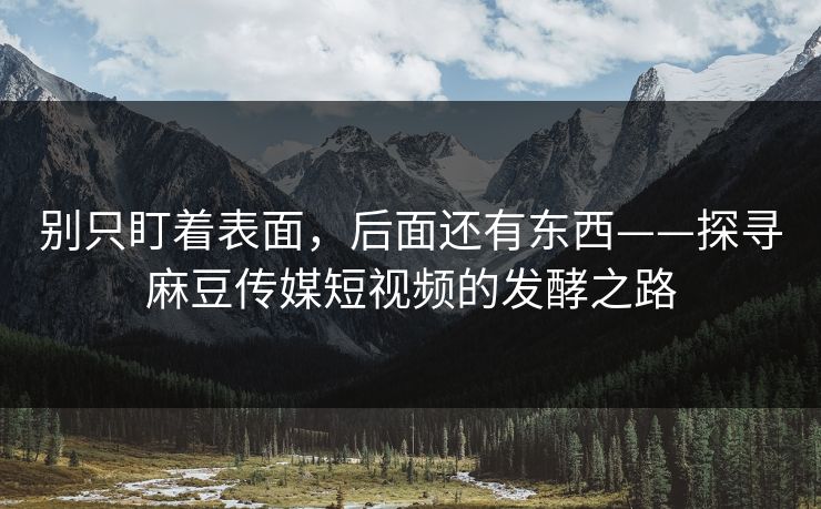 别只盯着表面，后面还有东西——探寻麻豆传媒短视频的发酵之路