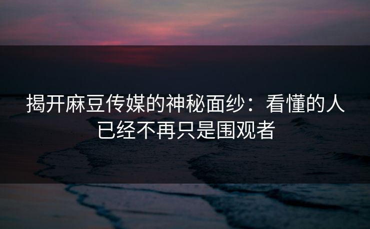 揭开麻豆传媒的神秘面纱:看懂的人已经不再只是围观者