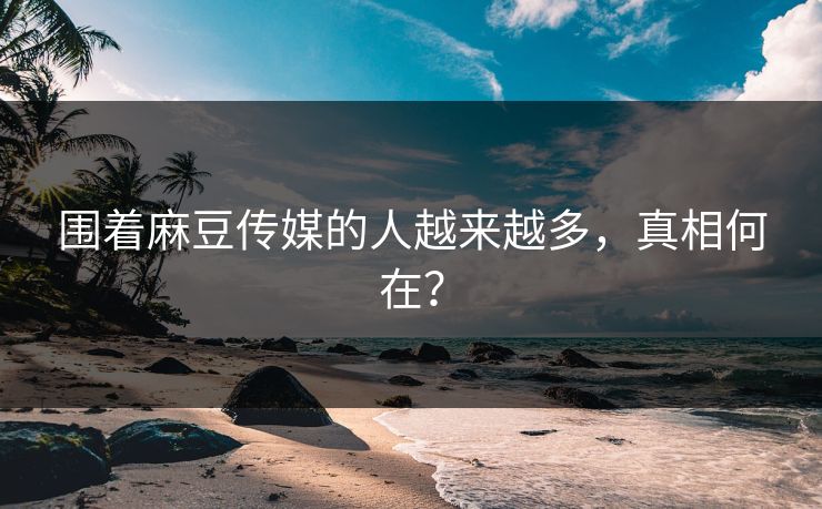 围着麻豆传媒的人越来越多，真相何在？