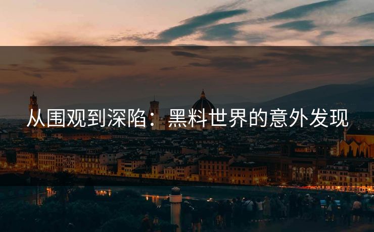 从围观到深陷：黑料世界的意外发现